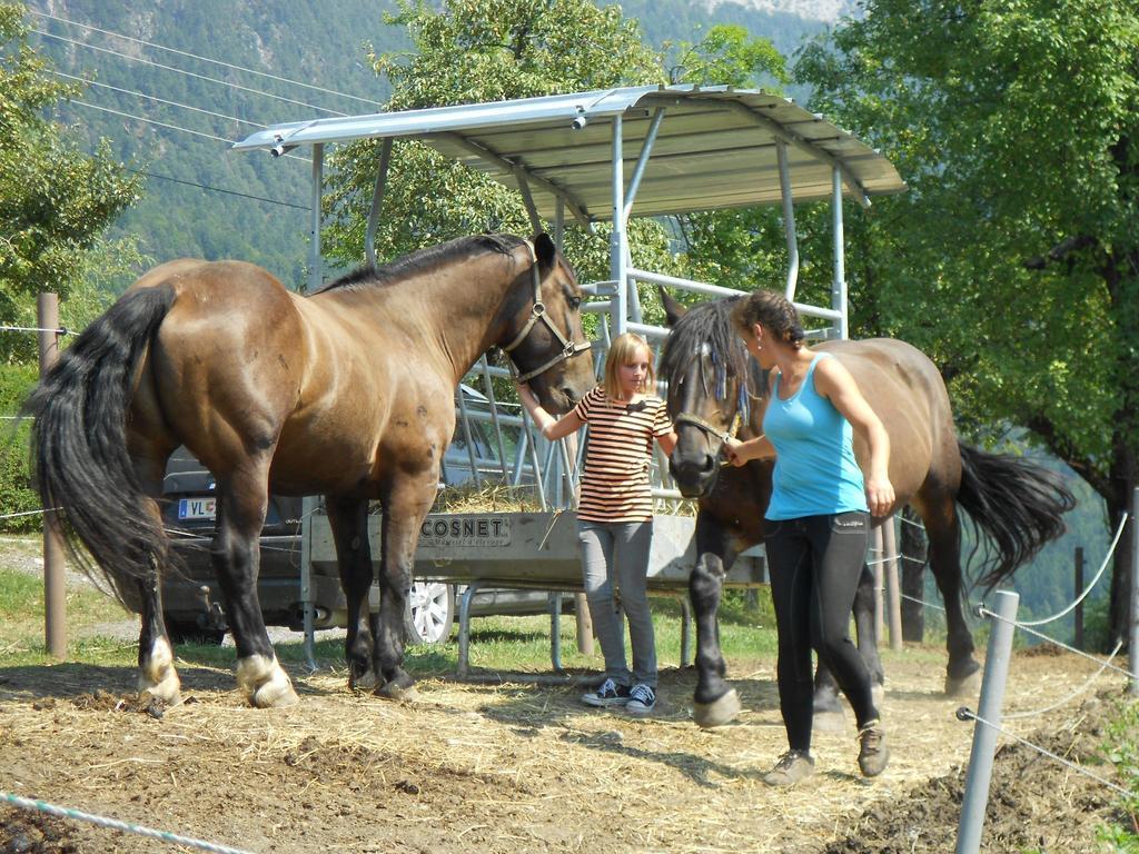 Ferienwohnung Andritsch Sankt Georgen im Gailtal Екстер'єр фото